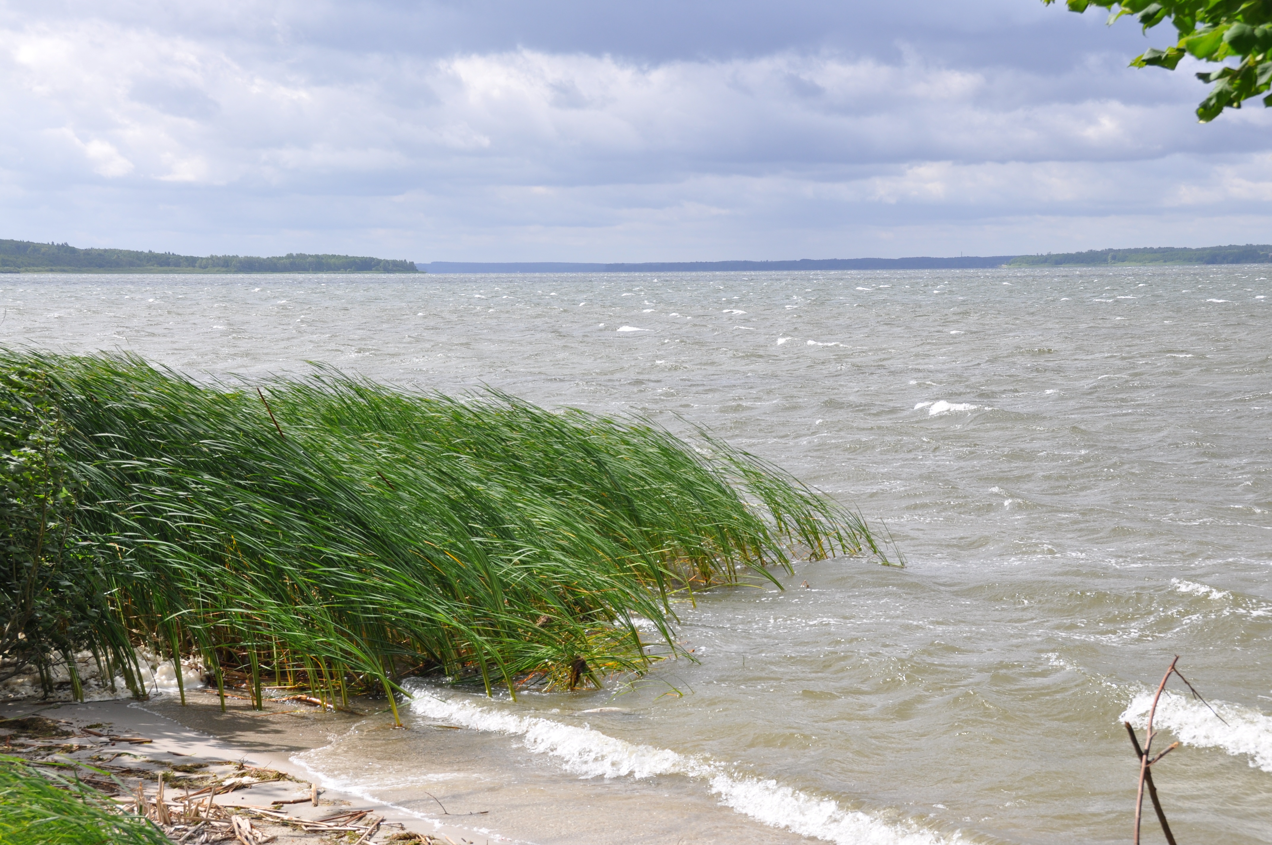 Schweriner See